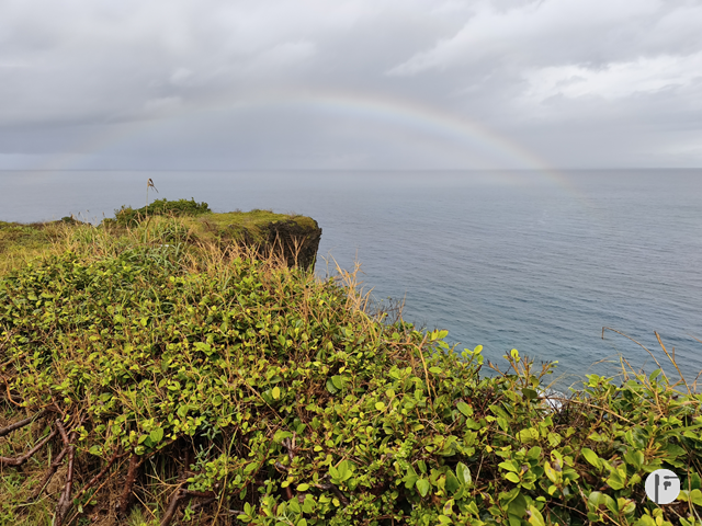 Xiaomi 15T Proで撮った写真