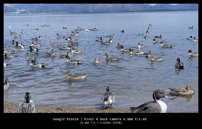 Pixel8の使用感はどうか？